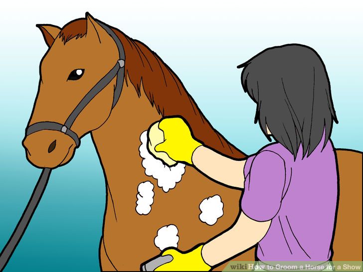 Free Caring Animals Cliparts, Download Free Caring Animals Cliparts png