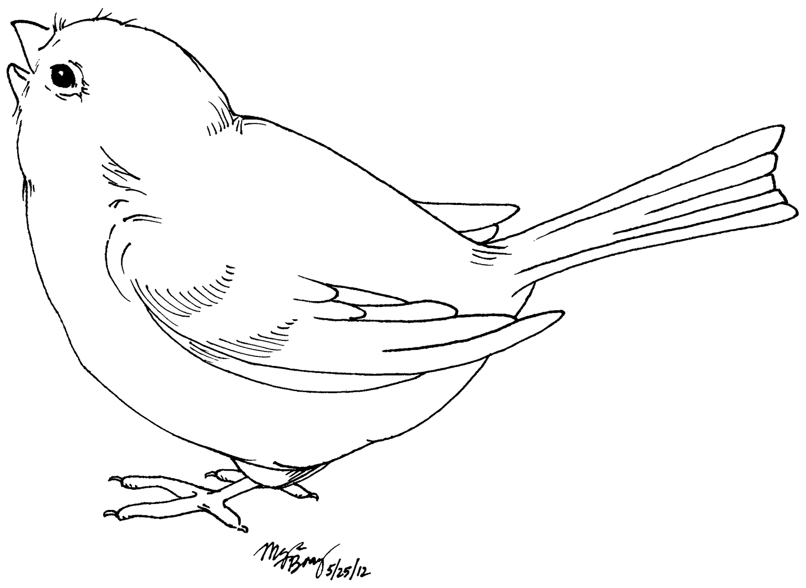 Free Bird Drawing Cliparts, Download Free Bird Drawing Cliparts png