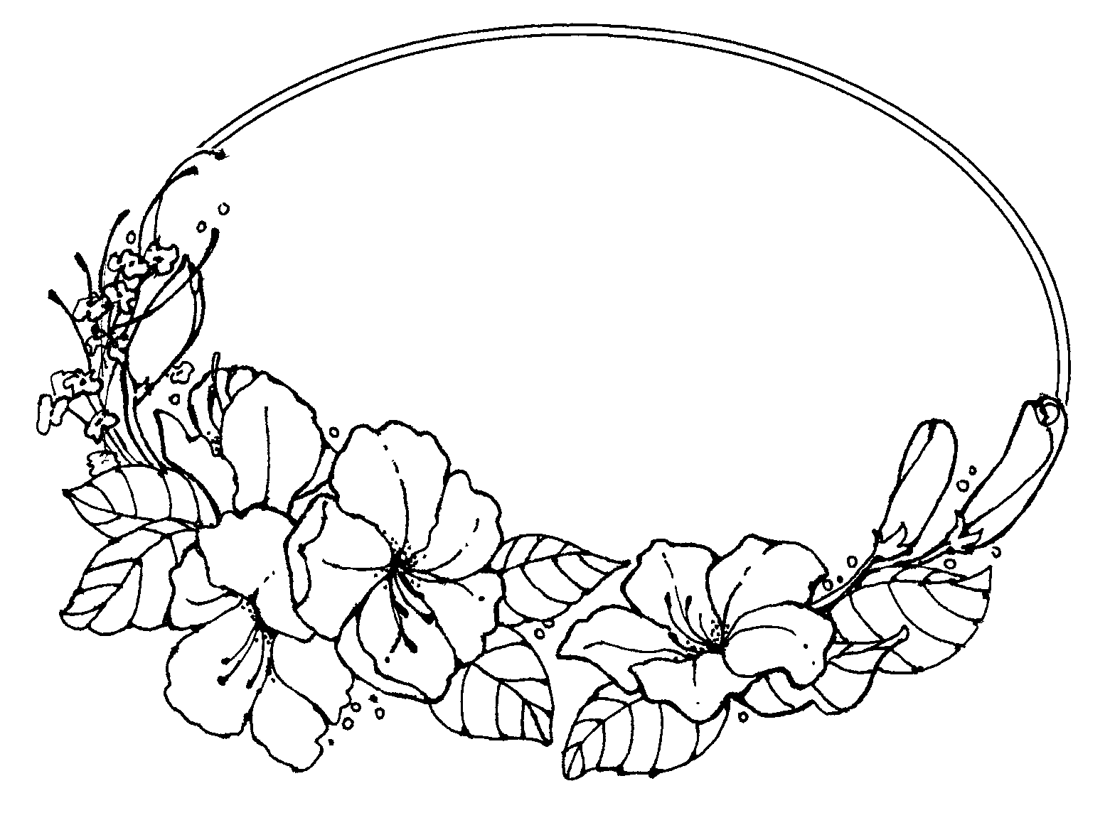 Free Floral Line Cliparts, Download Free Floral Line Cliparts png