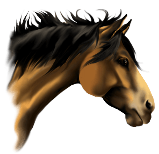 transparent 3d horse head Clip Art Library