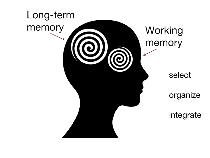 Free Working Memory Cliparts, Download Free Working Memory Cliparts png