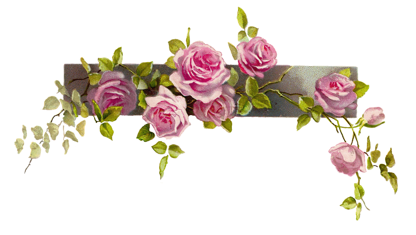 Free Flower Divider Png, Download Free Flower Divider Png png images