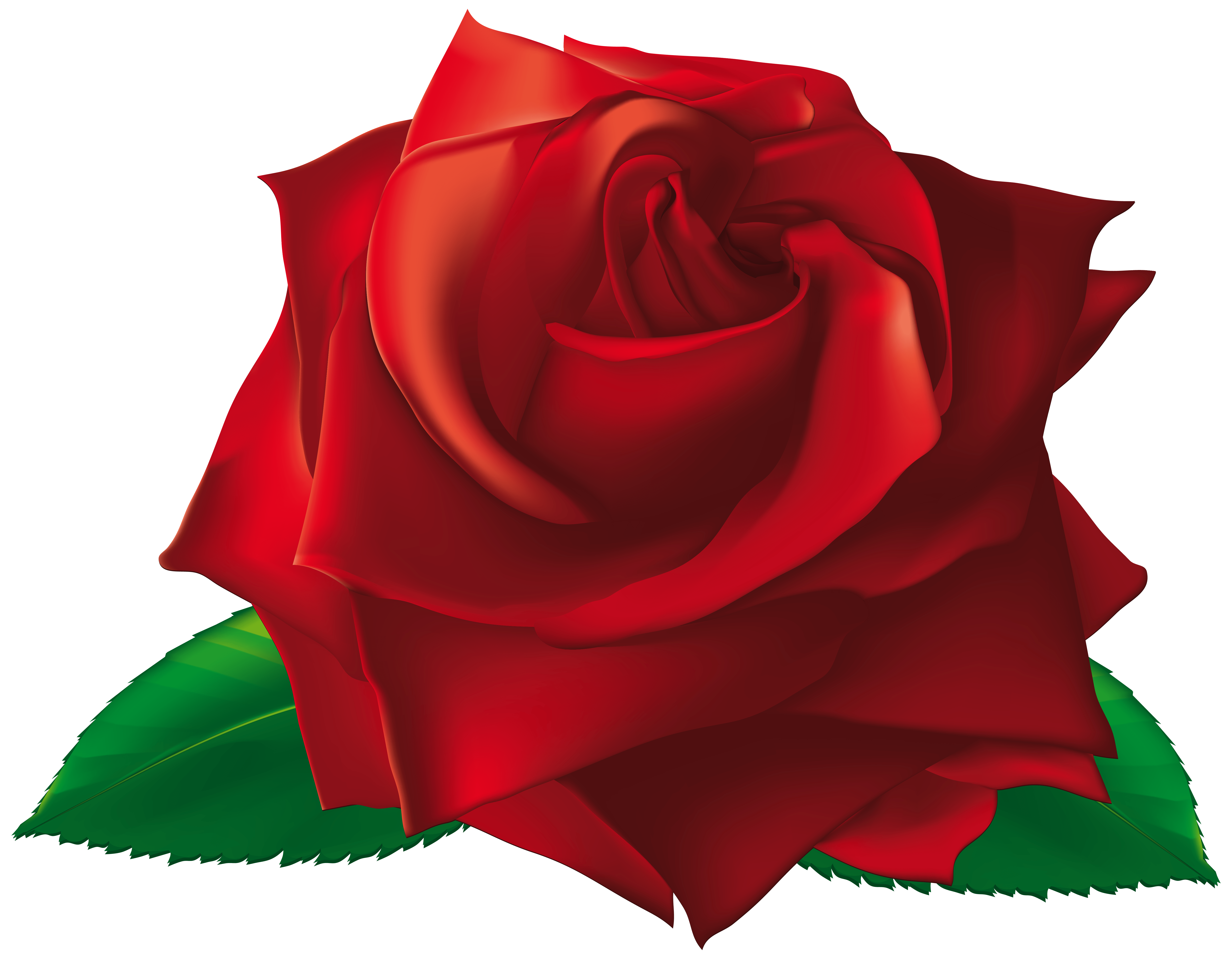 Free Single Rose Cliparts, Download Free Single Rose Cliparts png