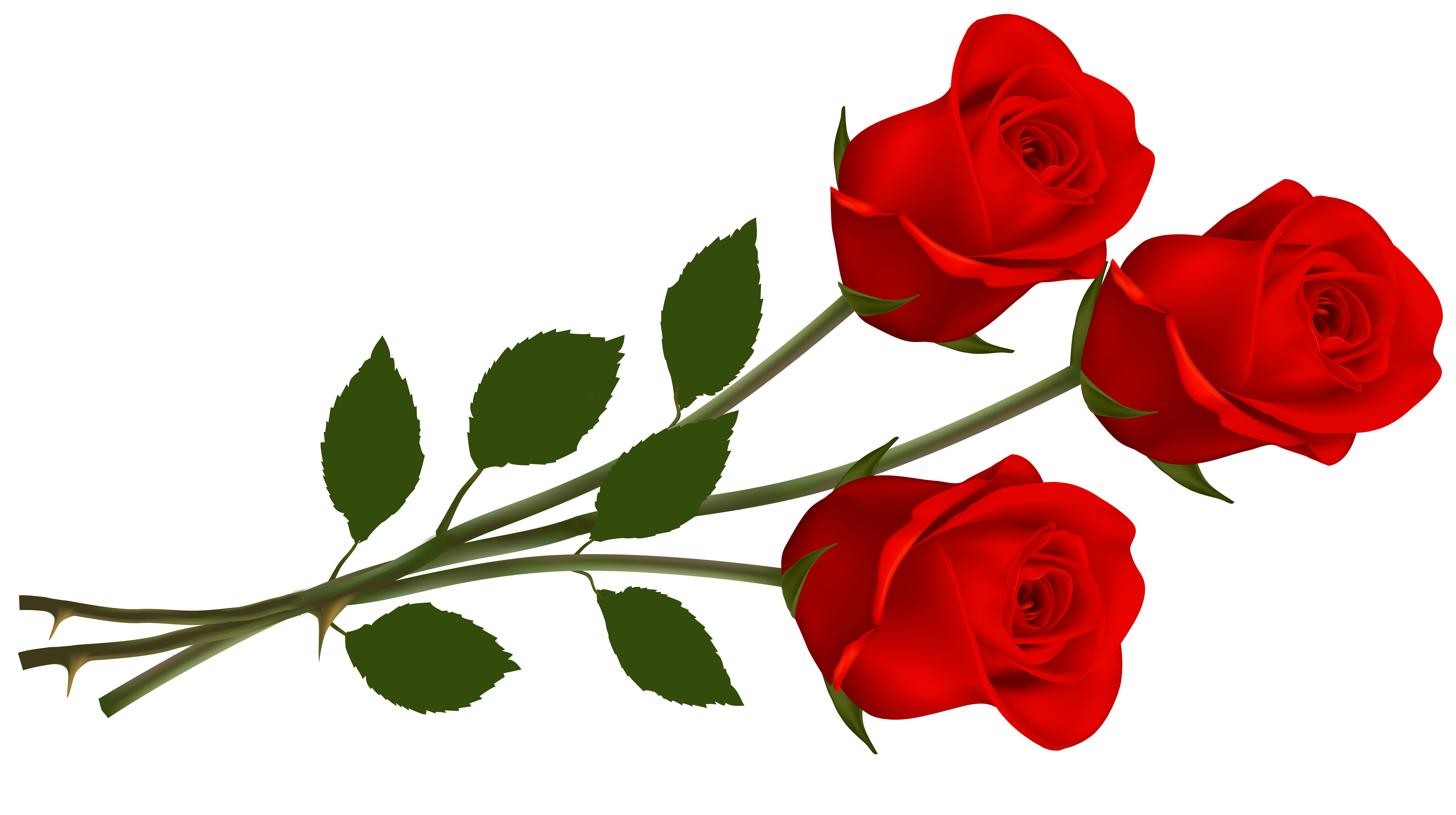 Free Single Rose Cliparts, Download Free Single Rose Cliparts png