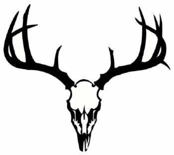 Free Moose Antler Cliparts, Download Free Moose Antler Cliparts png