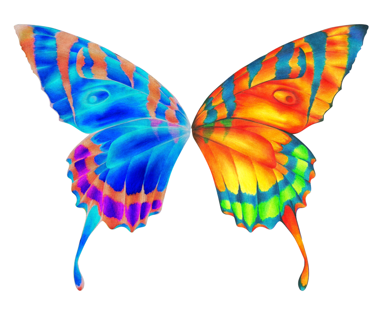 Free Butterfly Wings Cliparts, Download Free Butterfly Wings Cliparts