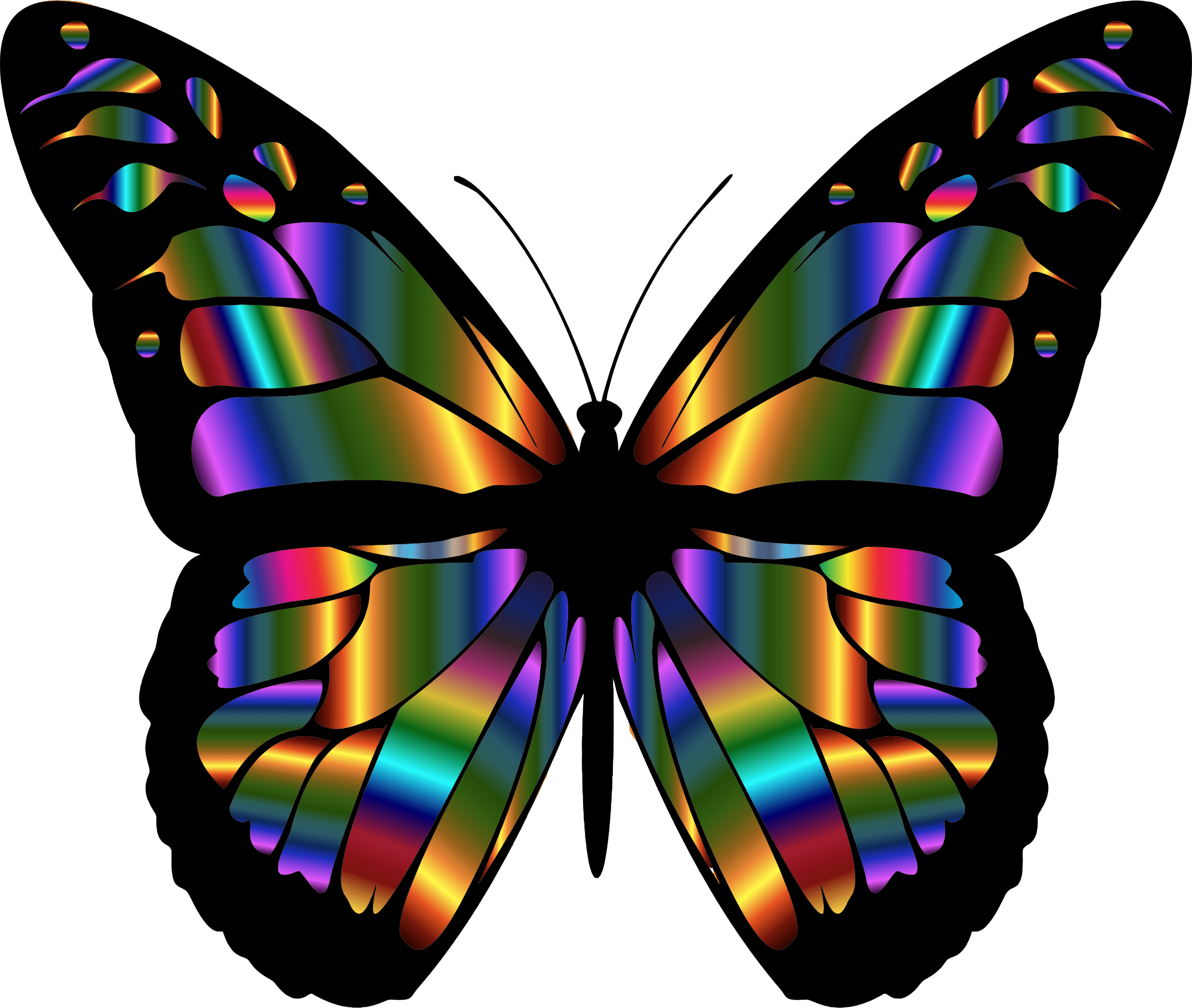 Free Butterfly Wing Png, Download Free Butterfly Wing Png png images