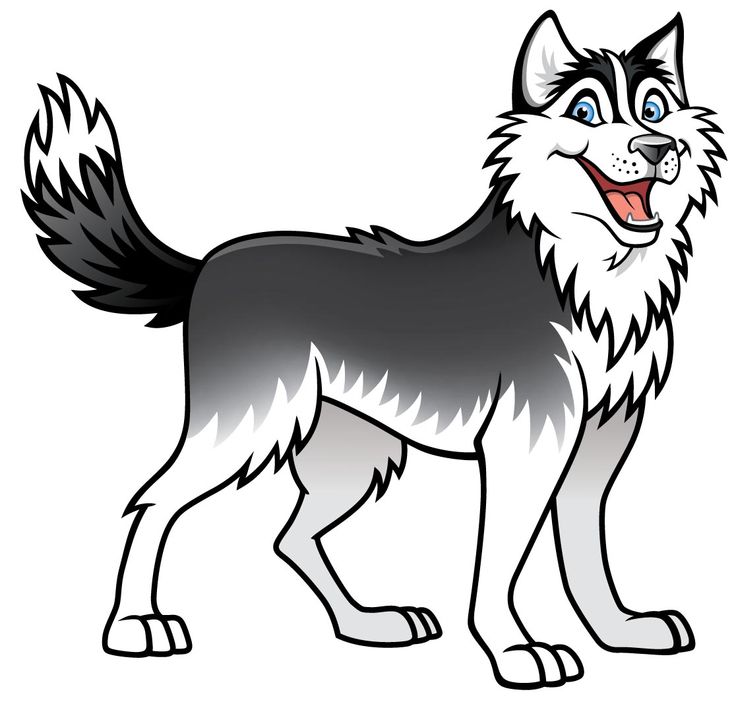 Free Cliparts Husky Puppy, Download Free Cliparts Husky Puppy png