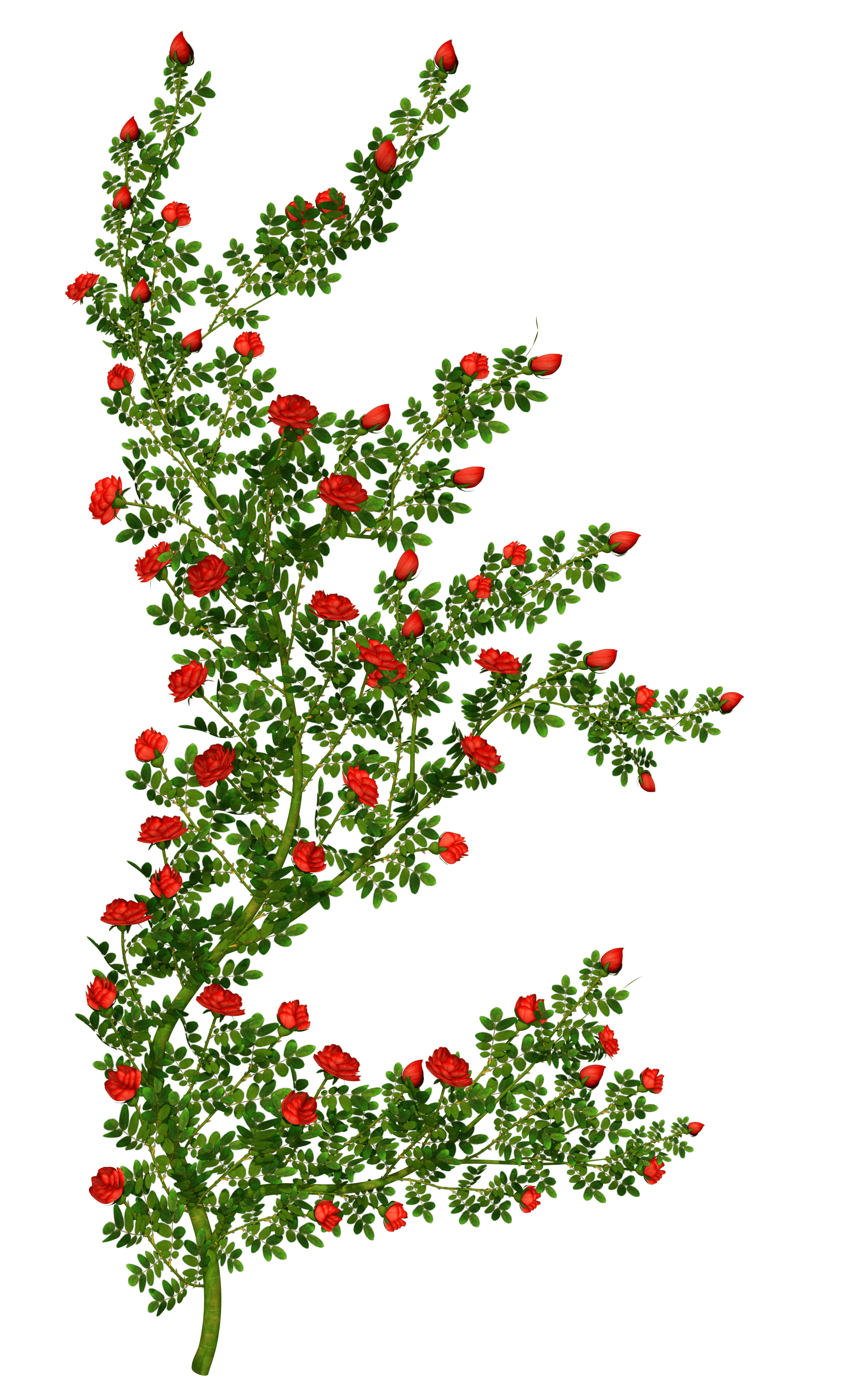 Free Flower Bush Cliparts, Download Free Flower Bush Cliparts png images, Free ClipArts on