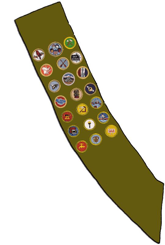 BOY SCOUT BSA Vintage SASH W 21 DIFFERENT Merit BADGES Sewn On PATCHES