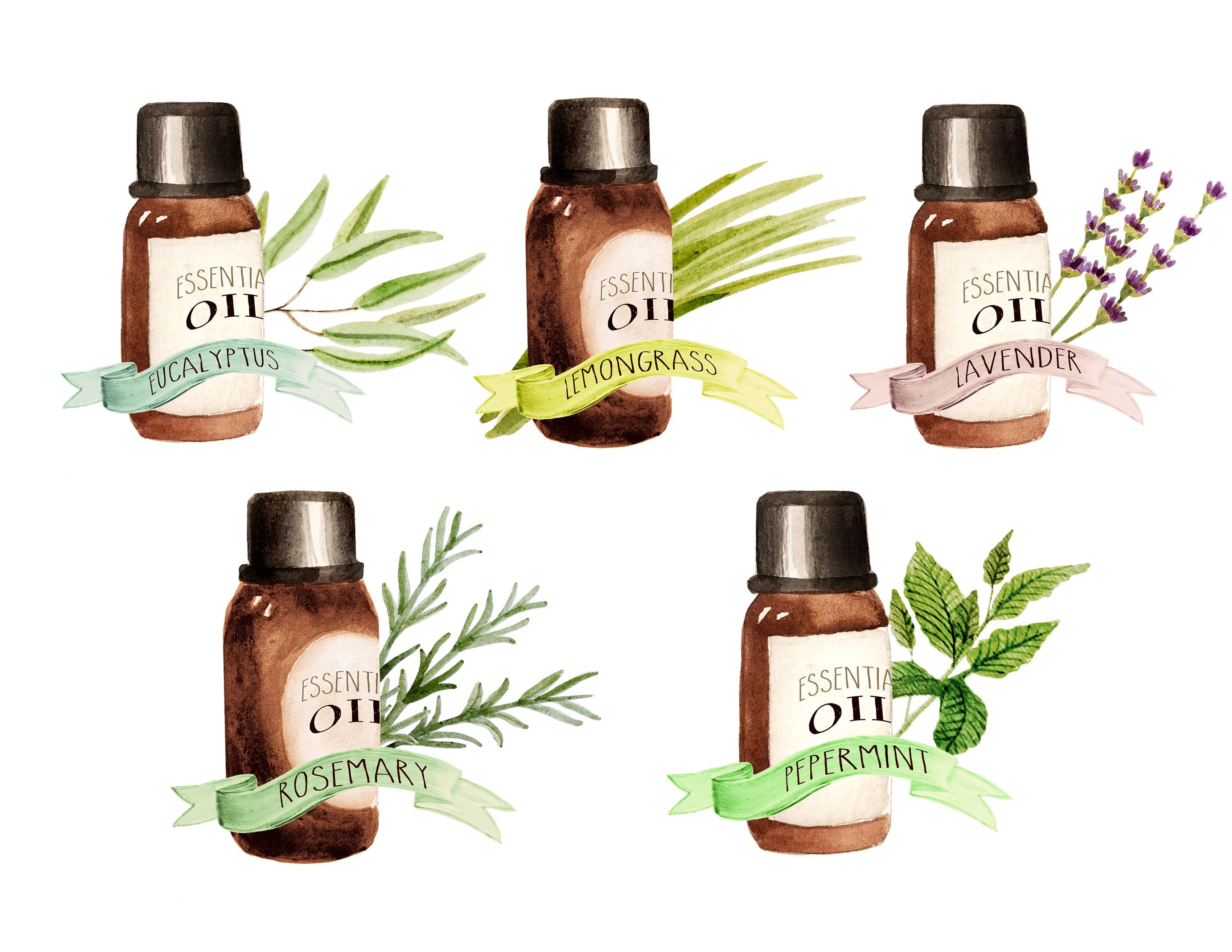 Free Essential Oils Cliparts, Download Free Clip Art, Free Clip Art on