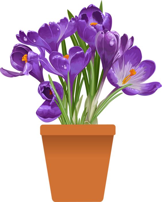 Free Beautiful Plant Cliparts, Download Free Beautiful Plant Cliparts