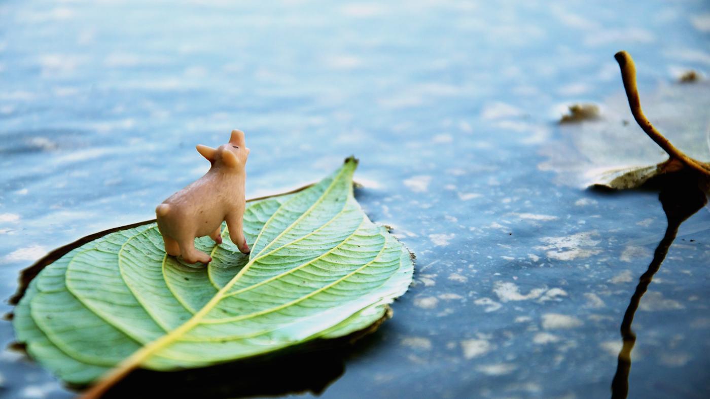 Floating Object In Water