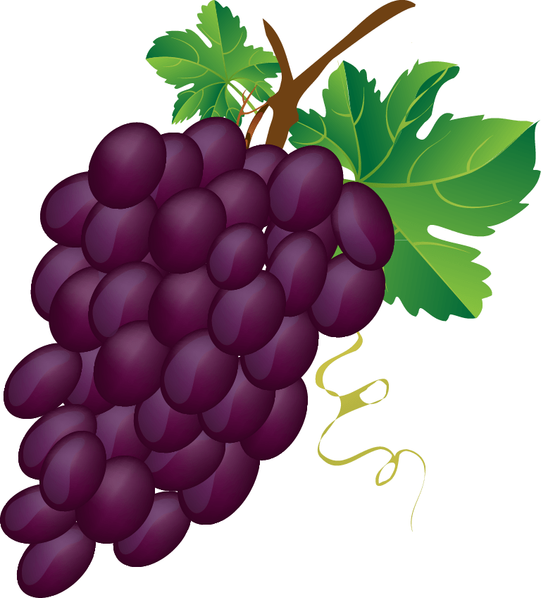 Free Purple Grapes Cliparts, Download Free Purple Grapes Cliparts png images, Free ClipArts on