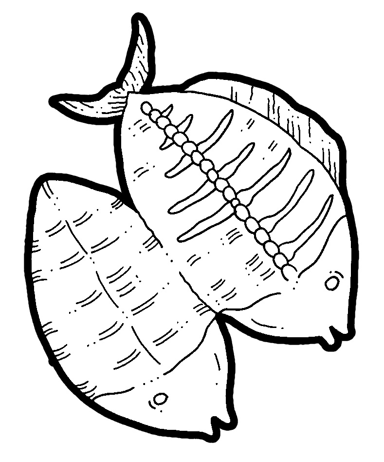 Free Dried Fish Cliparts, Download Free Dried Fish Cliparts png images, Free ClipArts on Clipart