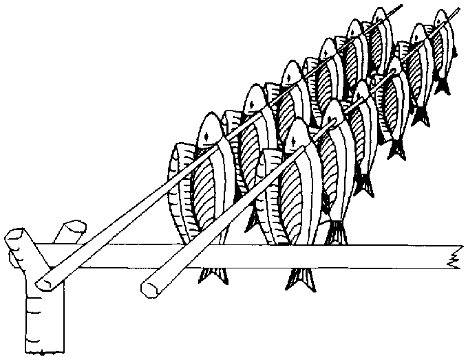 Dried Fish Cliparts Adding a Unique Touch to Your Designs