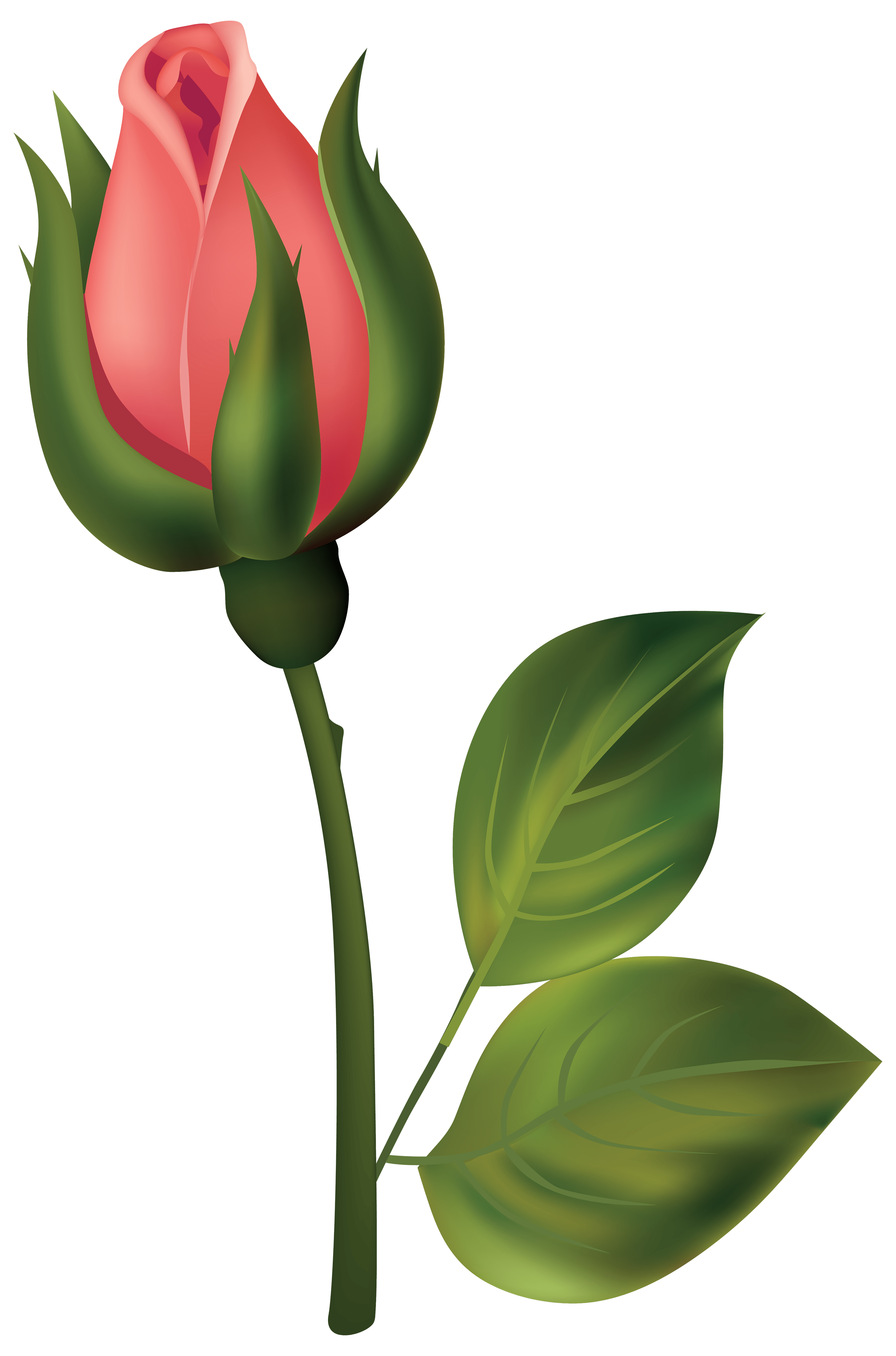 Free Red Rosebud Cliparts, Download Free Red Rosebud Cliparts png