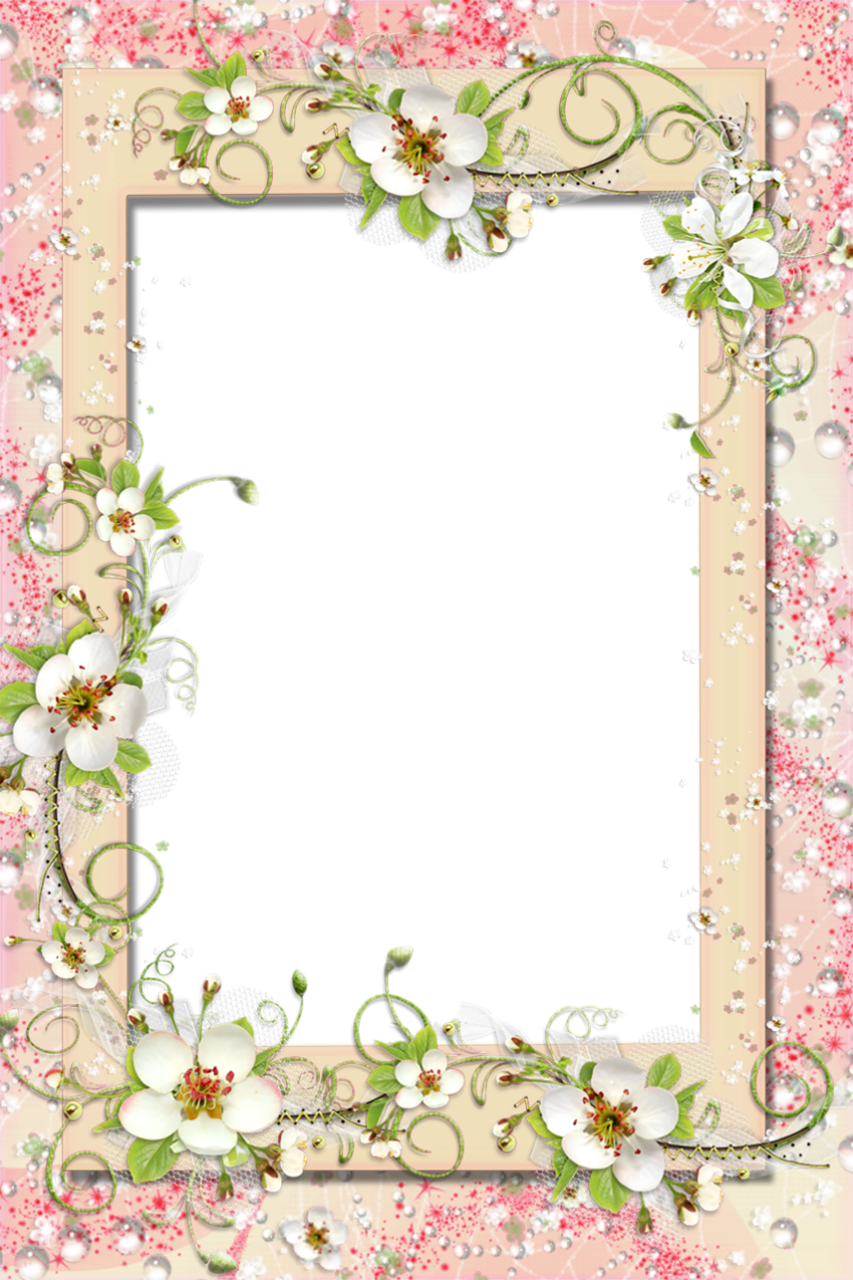 Free Delicate Frame Cliparts, Download Free Delicate Frame Cliparts png
