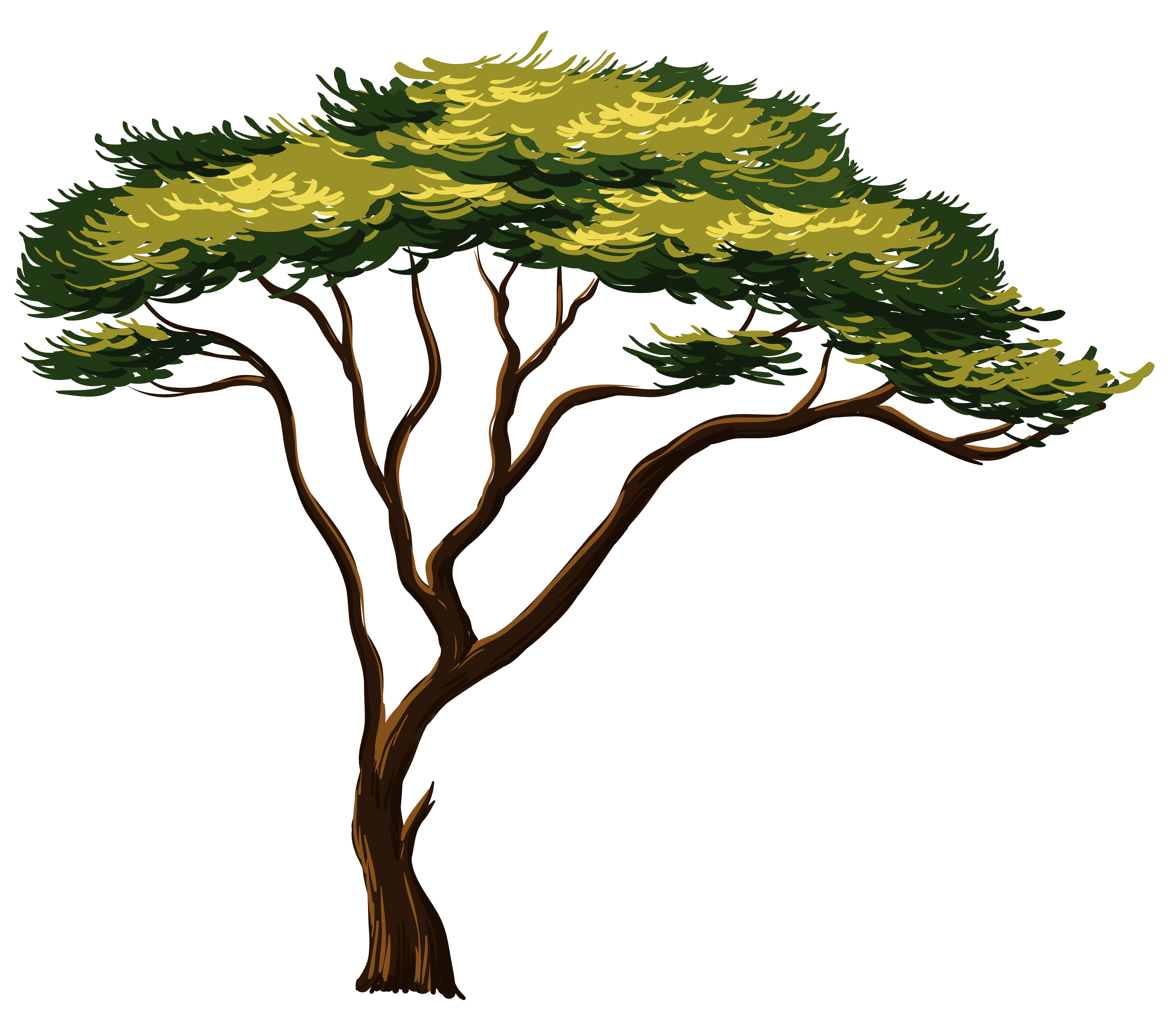 Free African Tree Silhouette Images, Download Free African Tree