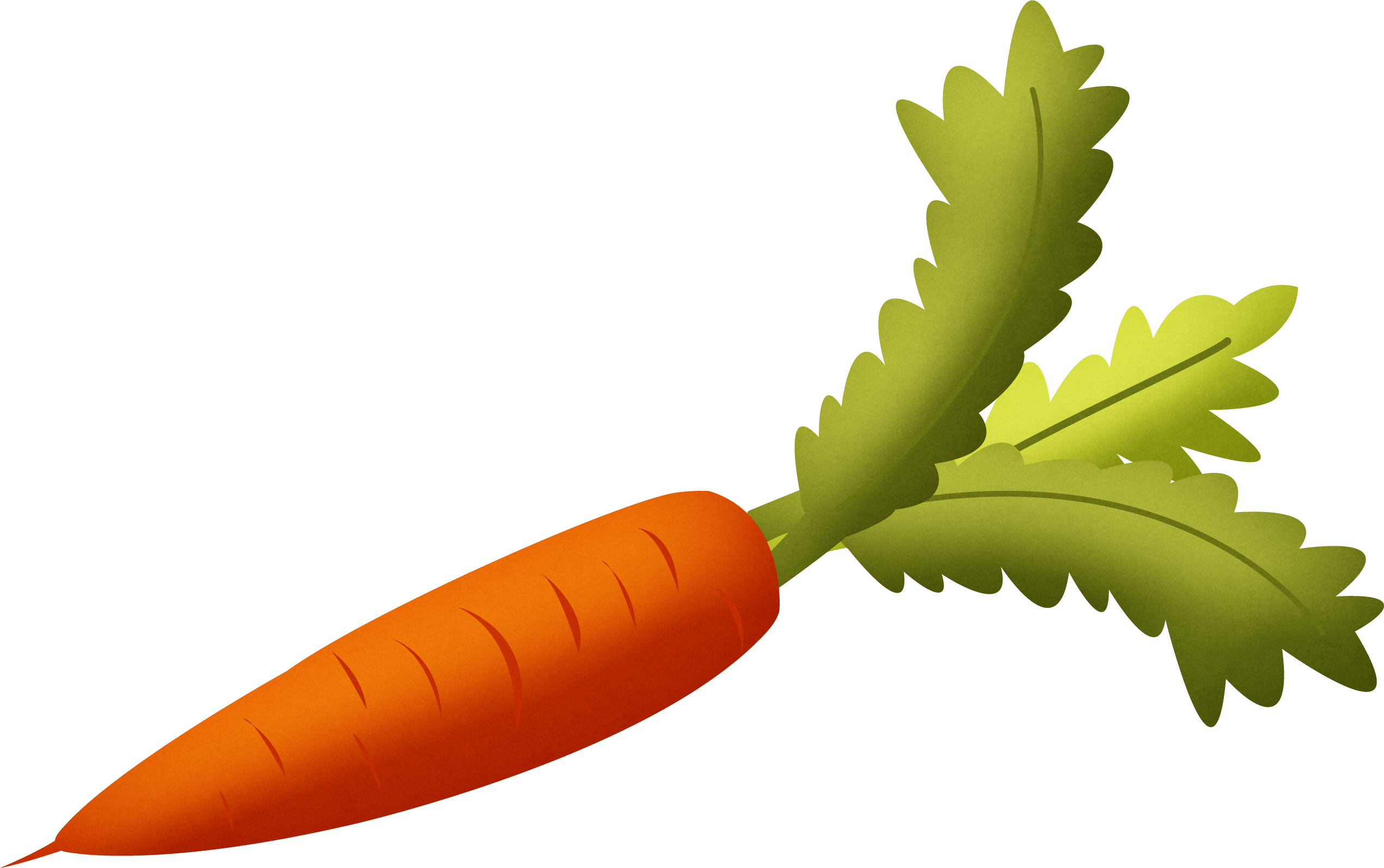 Free Carrot Root Cliparts, Download Free Carrot Root Cliparts png