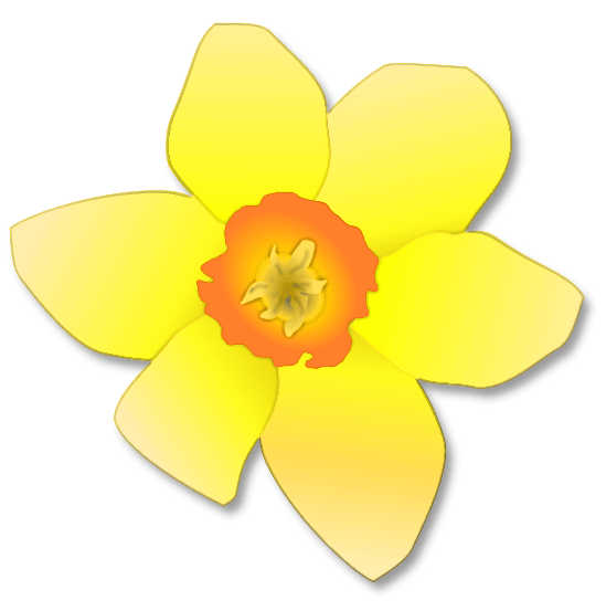 Free Printable Daffodil Cliparts, Download Free Printable Daffodil Cliparts png images, Free