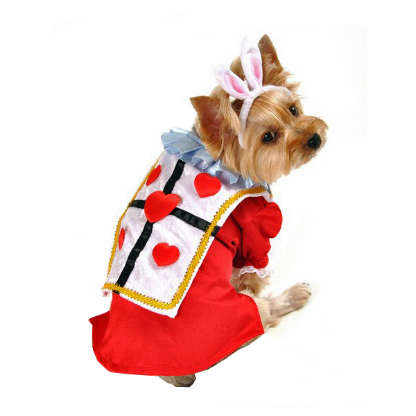 Free Dog Costume Cliparts, Download Free Dog Costume Cliparts png