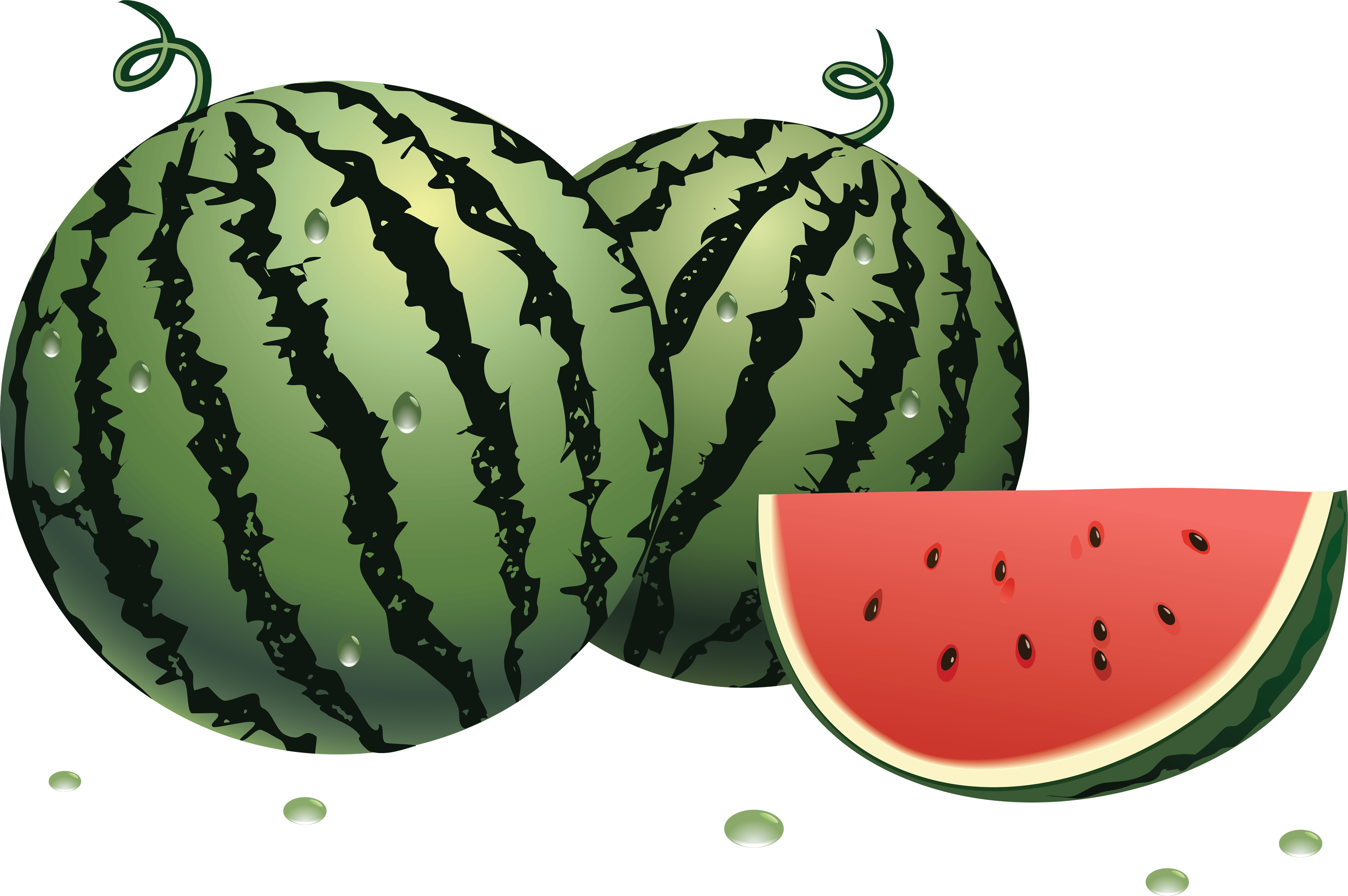 Free Watermelon Tree Cliparts, Download Free Watermelon Tree Cliparts