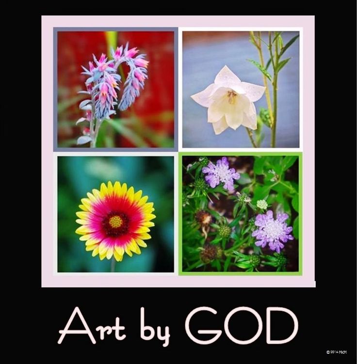 Free May Christian Cliparts, Download Free May Christian Cliparts png