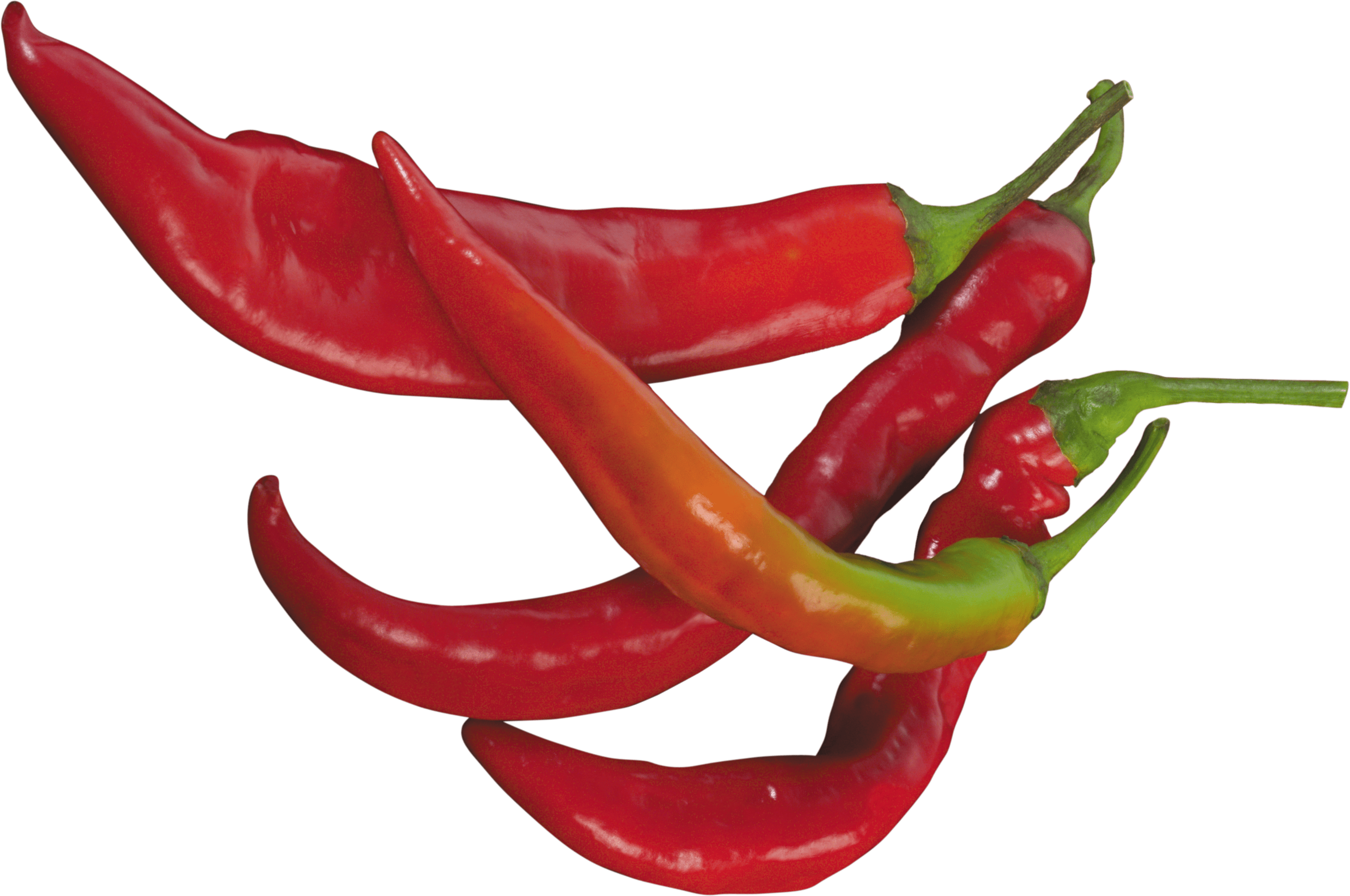Free Serrano Pepper Cliparts, Download Free Serrano Pepper Cliparts png