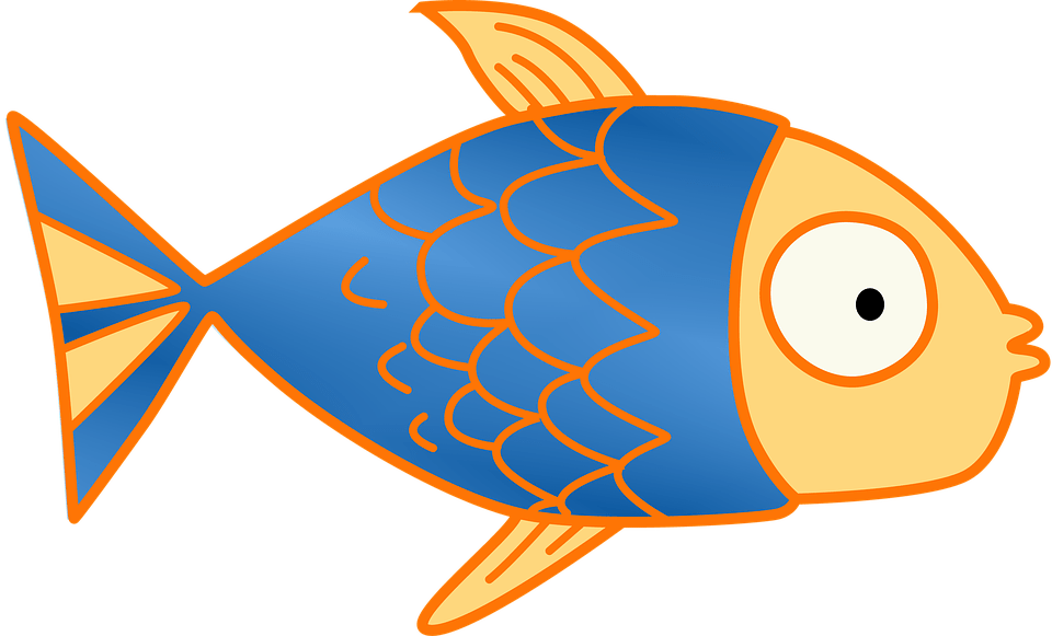 Free Cute Salmon Cliparts, Download Free Cute Salmon Cliparts png