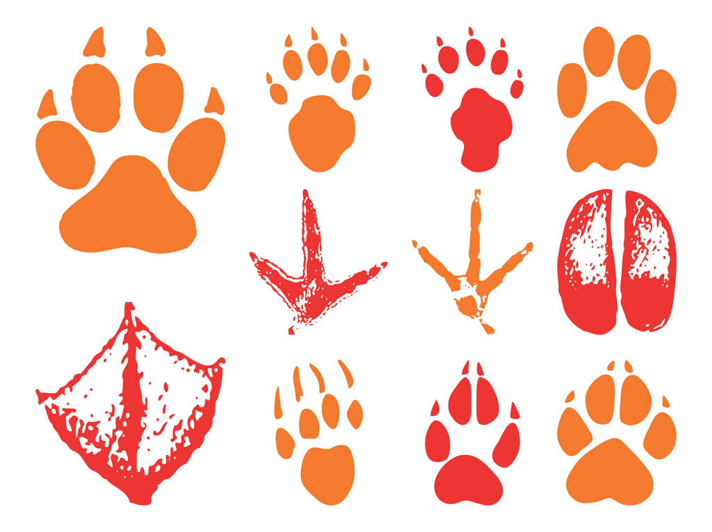 Free Animal Tracks Cliparts, Download Free Animal Tracks Cliparts png