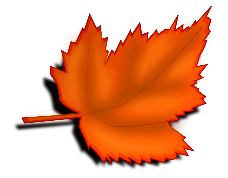 Leaf Clip art Spring Leaf Transparent PNG Clip Art Image png download