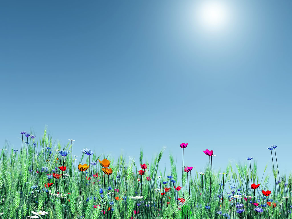 Free Spring Background Cliparts, Download Free Spring Background
