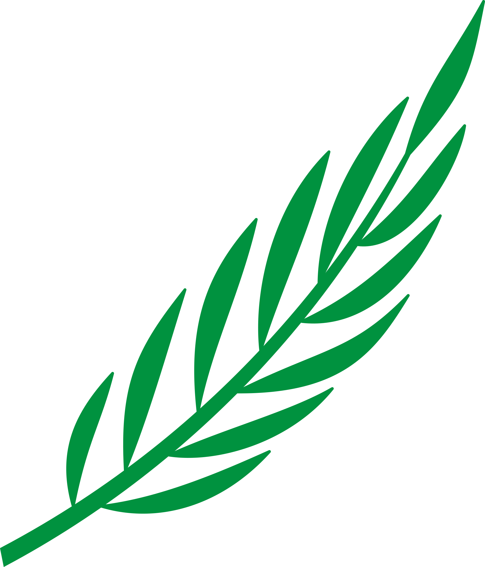 Free Leafy Branch Cliparts, Download Free Leafy Branch Cliparts png