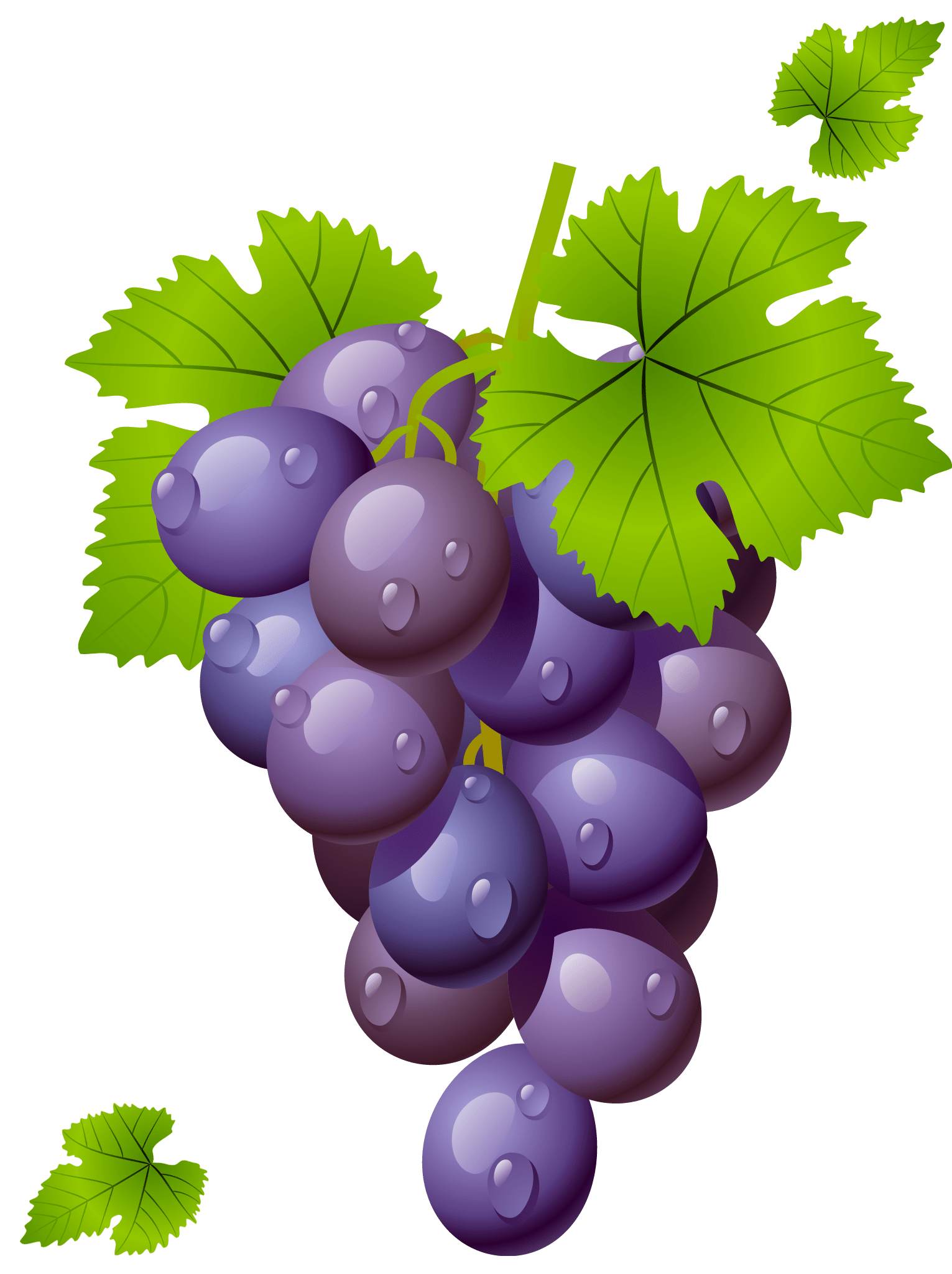 Free Red Grapes Cliparts, Download Free Red Grapes Cliparts png images