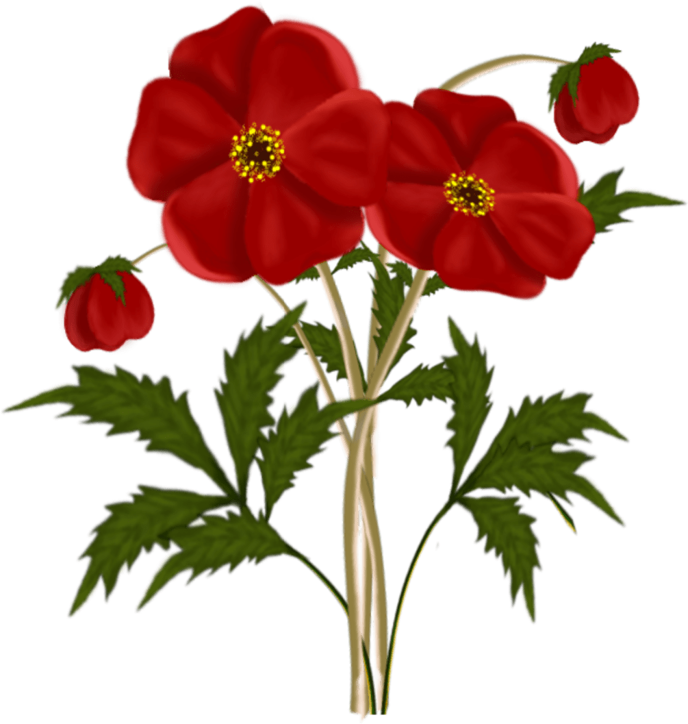 Free Red Flowers Cliparts, Download Free Red Flowers Cliparts png