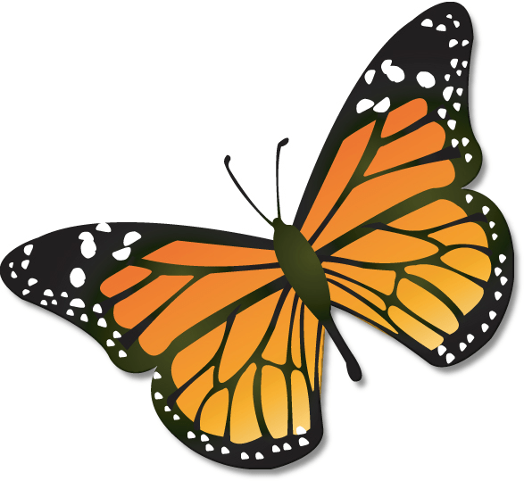 Free Real Butterfly Cliparts, Download Free Real Butterfly Cliparts png