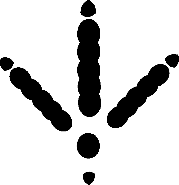 Free Chicken Feet Cliparts, Download Free Chicken Feet Cliparts png