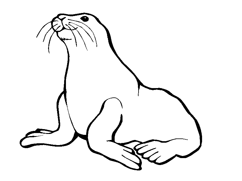 Free Seal Swimming Cliparts, Download Free Seal Swimming Cliparts png images, Free ClipArts on