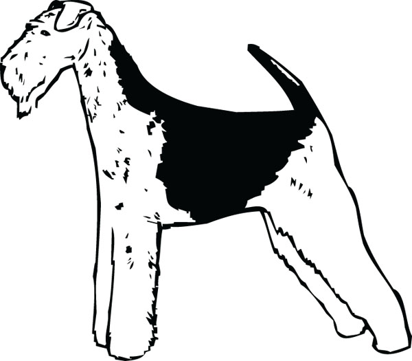 Airedale Terrier Coloring Page RichardbBrunner