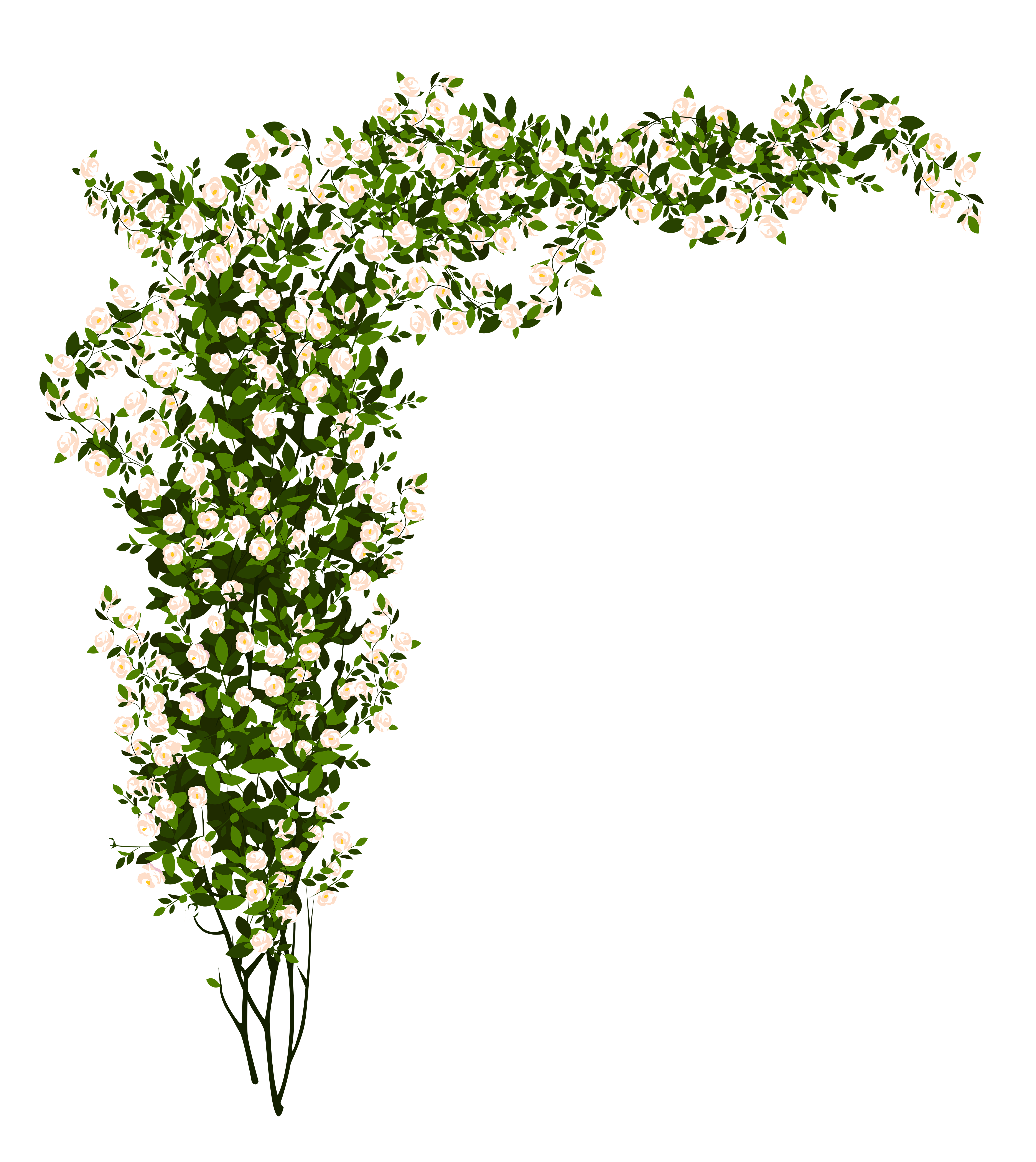 Free Bushes Transparent Background, Download Free Bushes Transparent