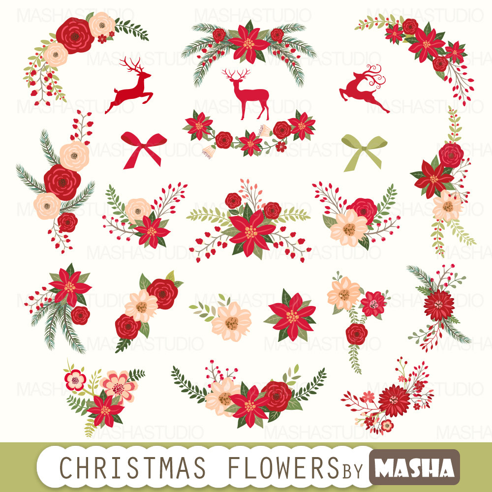 Free Poinsettia Flower Cliparts, Download Free Poinsettia Flower