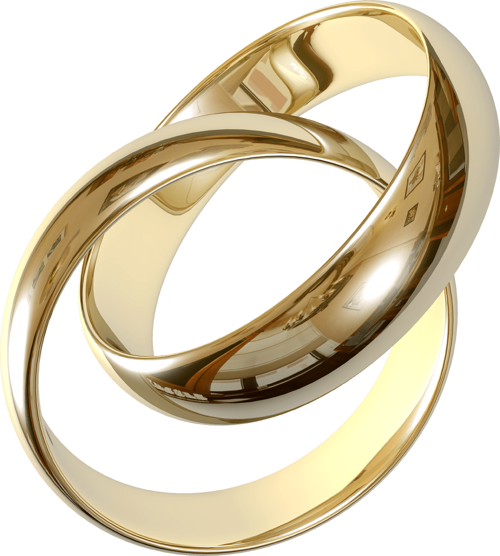 Wedding ring couple Couple rings png download 500*599 Free