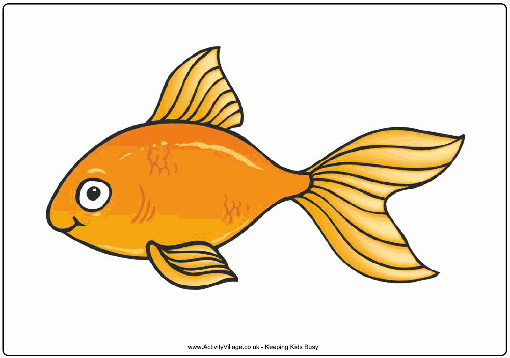 Cartoon Goldfish Clipart Free Images and Illustrations