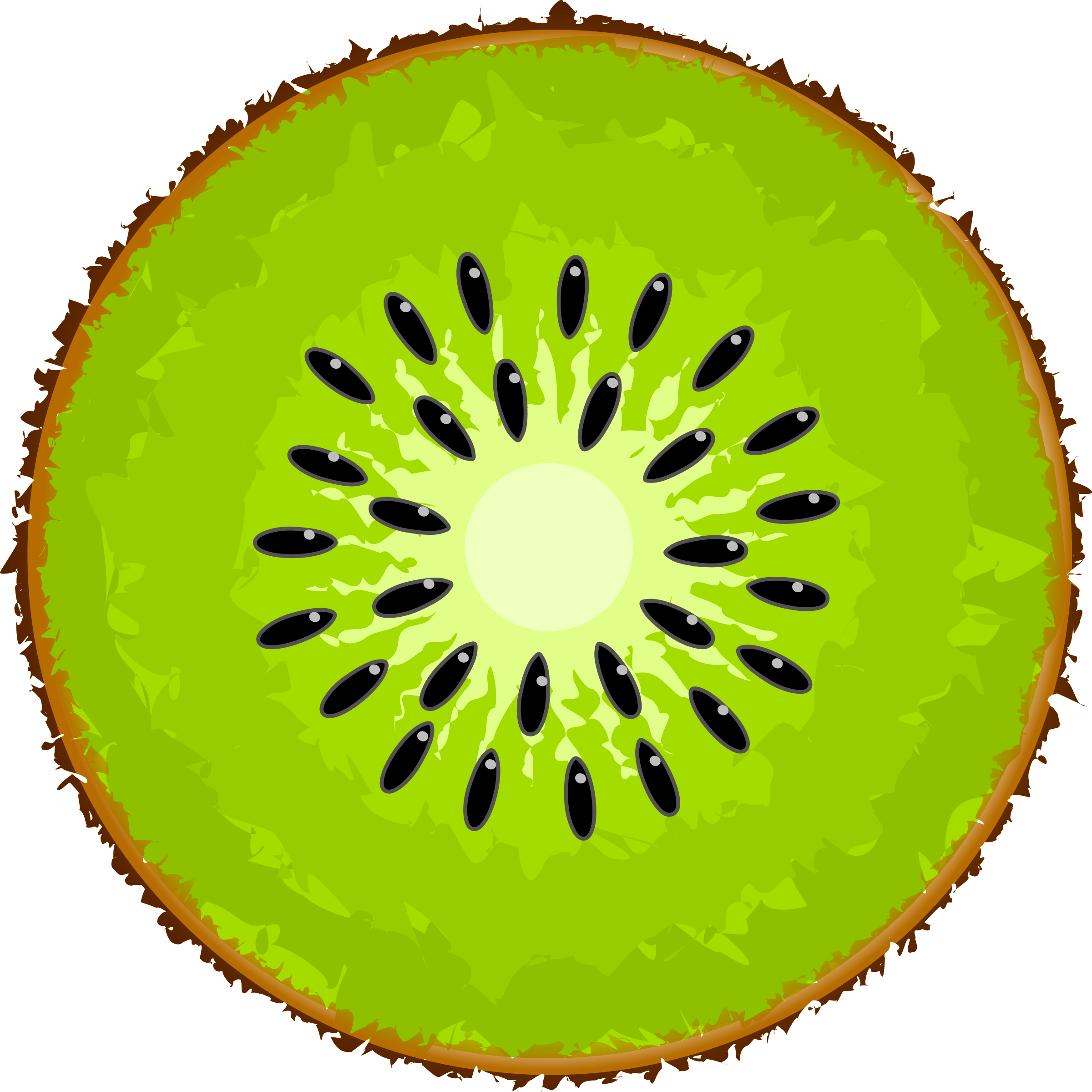 Free Kiwi Fruit Cliparts, Download Free Kiwi Fruit