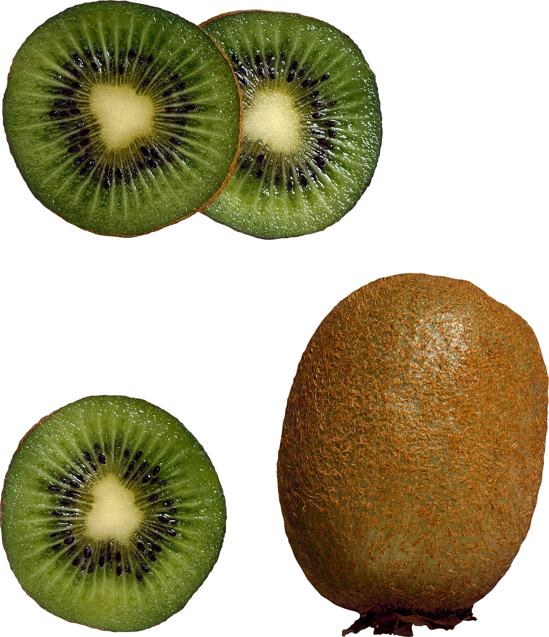 Free Kiwi Fruit Cliparts, Download Free Kiwi Fruit Cliparts png images
