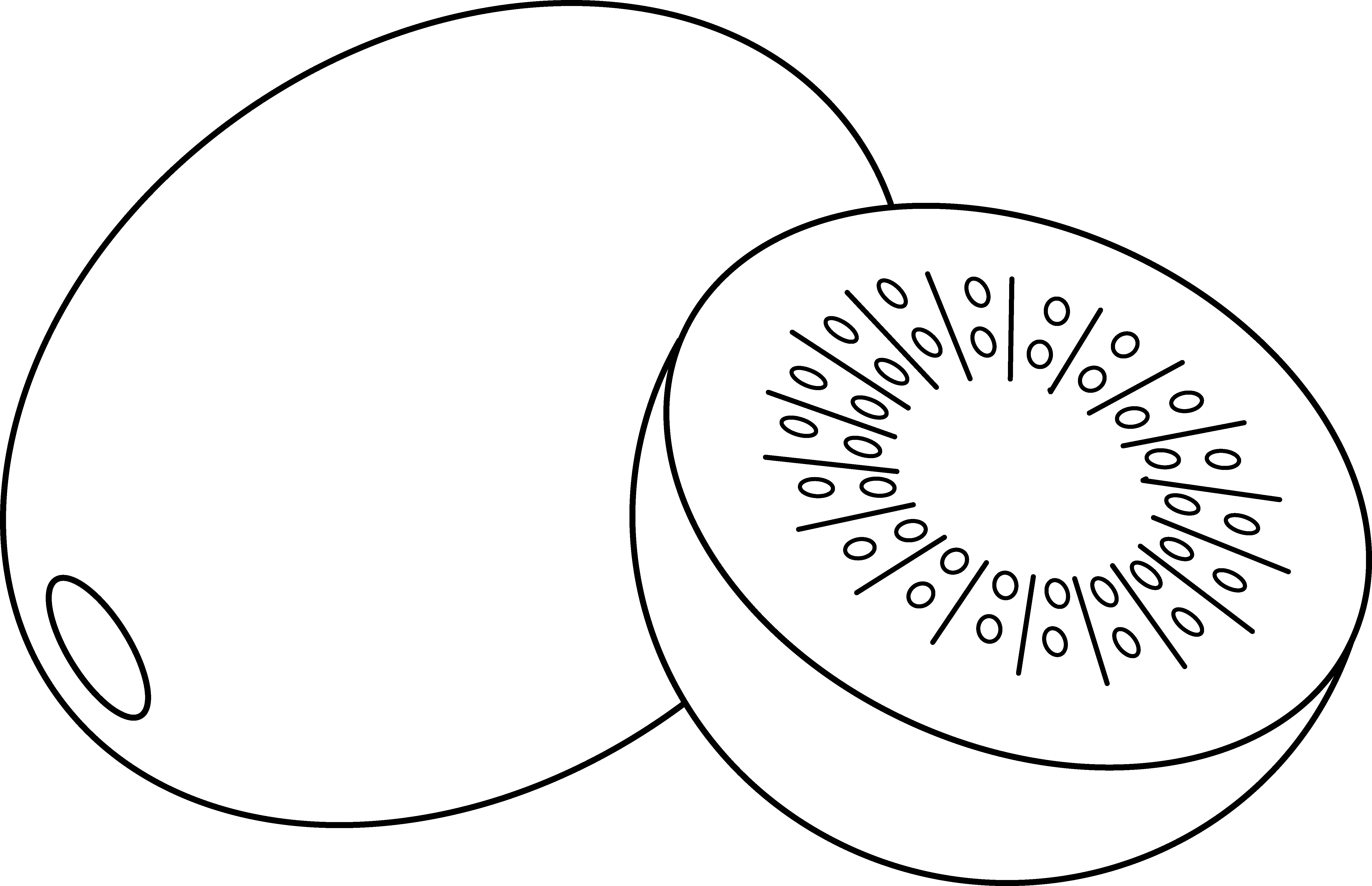 kiwi fruit clipart black and white Clip Art Library