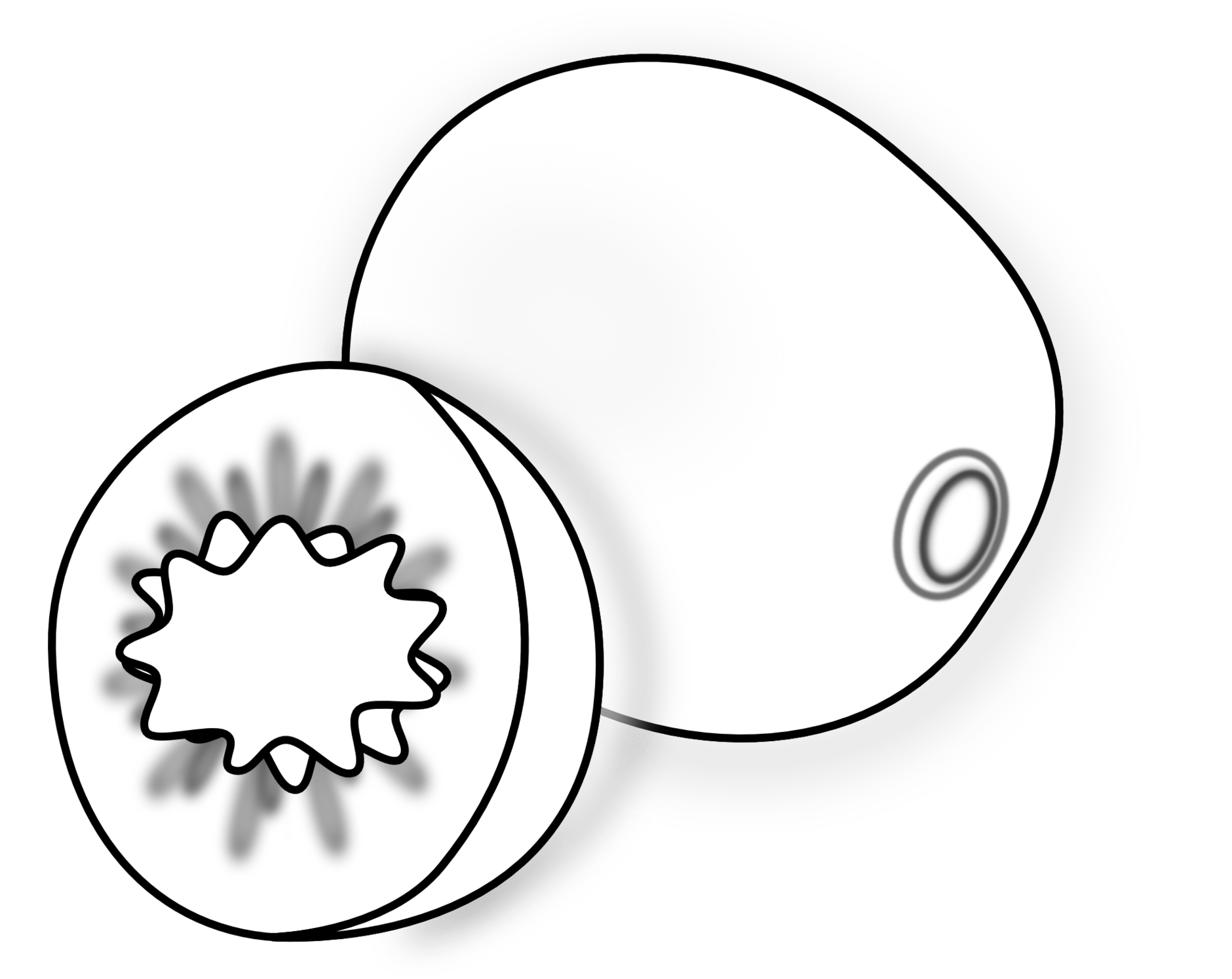 Free Kiwi Fruit Cliparts, Download Free Kiwi Fruit Cliparts png images