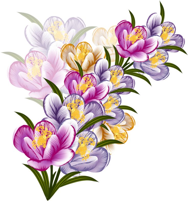 Free Snow Flower Cliparts, Download Free Snow Flower Cliparts png