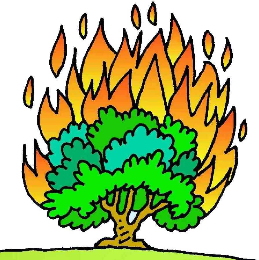 burning bush clipart Clip Art Library